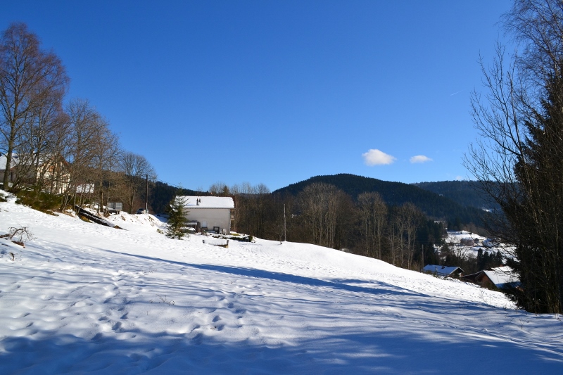 The prairie expanse near the chalet in the middle of winter